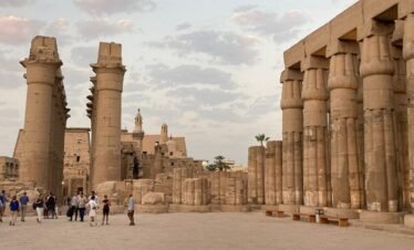 Going With The Flow Of The Nile New York Social Diary